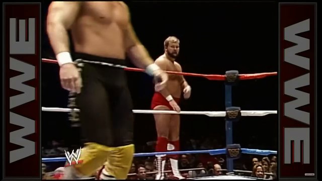 WWE MSG 23/1/89 Brain Busters vs The Rockers