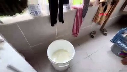 Korkunç olay: Minik bebek süt dolu kovaya düştü