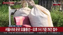 수도권 곳곳서 대남 오물풍선 발견…서울만 80여건