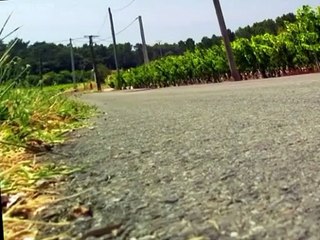 Minuscule Minuscule S01 E013 Cowardly Coward