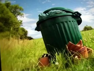 Minuscule Minuscule S01 E017 The Ladybug