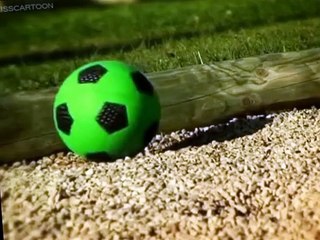 Minuscule Minuscule S03 E006 A Rolling Snail Gathers No Moss