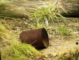 Minuscule Minuscule S03 E010 Bless You