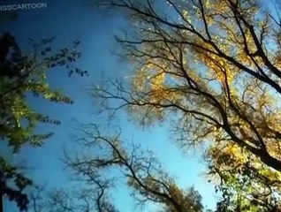 Minuscule Minuscule S03 E023 Cherry Tomato