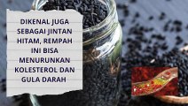 6 Manfaat Habbatussauda, Bisa Turunkan Gula Darah dan Kolesterol yang sayang kalau dilewatkan