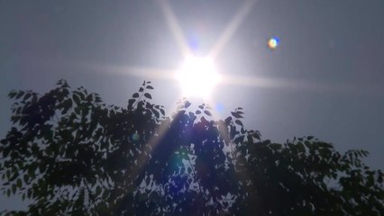 [날씨] 단오 무더위, 올해 첫 '폭염특보'...내일 오늘보다 더워 / YTN