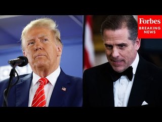 Historian Compares Hunter Biden's Legal Issues With Former President Trump's Conviction