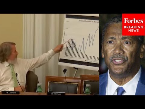 'I'm Not Trying To Be Mean Here...': Doug LaMalfa Grills Forest Service Chief On Management Policy