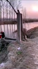 Old School Farming Innovation #shorts #shortvideo #video #virals #videoviral #innovationhub