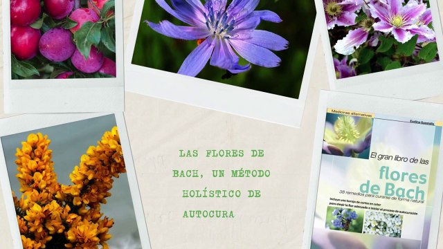 El gran libro de las flores de Bach - The Big Book of Bach Flowers