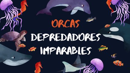 Conoce los animales de los polos - Meet the animals of the poles