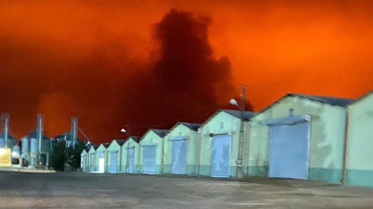 Yıldırım düşen TİGEM arazisi alev alev yandı