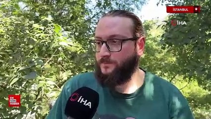 İstanbul'da Mehmud Paşa Yalısı'nda film gibi soygun