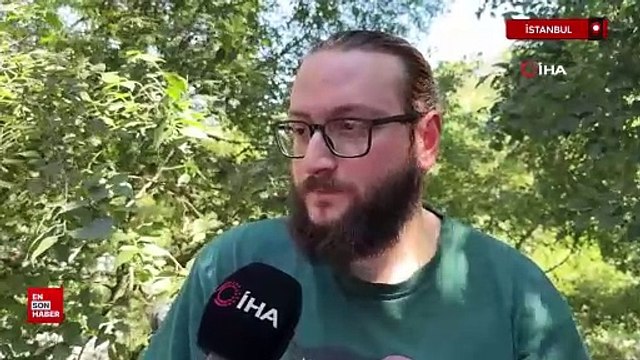 İstanbul'da Mehmud Paşa Yalısı'nda film gibi soygun