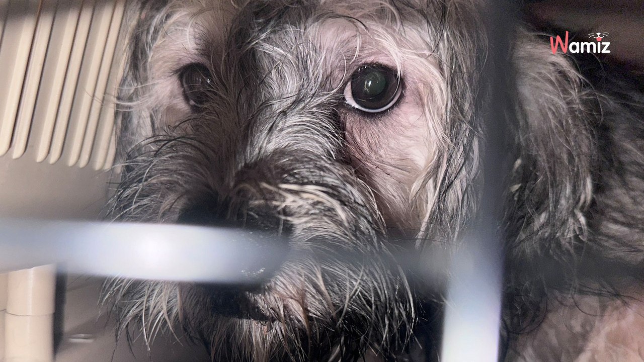 Saarland: Behörden dringen in Wohnung ein, krankhafte Sucht fliegt auf