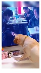 received_950202313219202