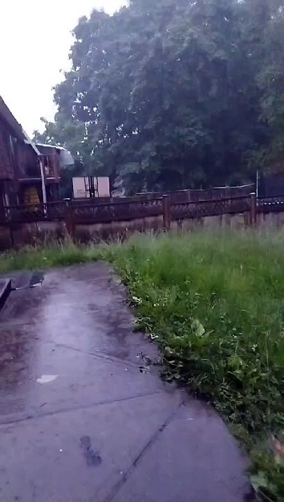 Greenery