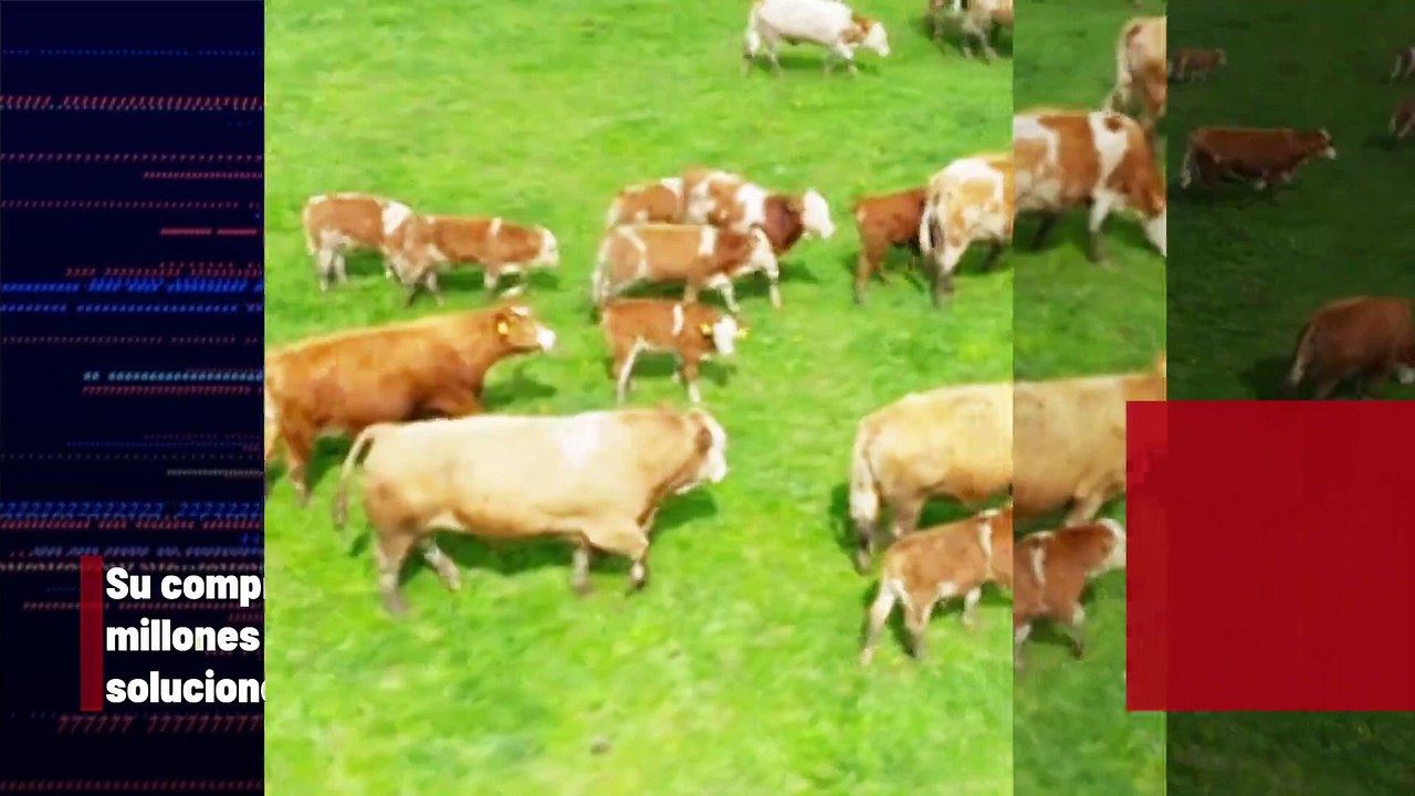 Bill Gates lleva mucho tiempo relacionado con la lucha contra el cambio climático