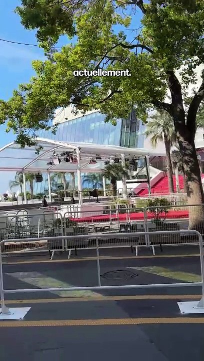 En visite à Cannes : mon top 3 des films que j’ai vu à Cannes