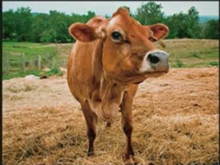 JEAN-MARC ROEDER-RECHAUFFEMENT CLIMATIQUE-2_2