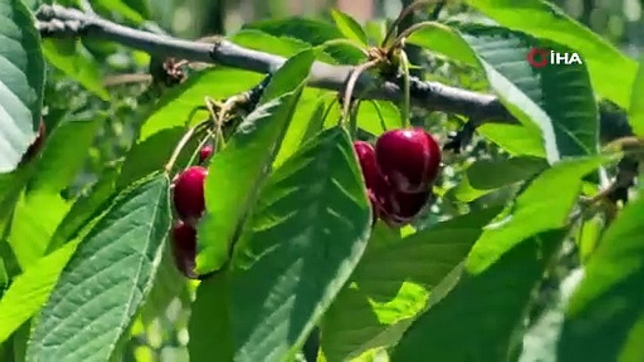 Günlük 2 bin TL'ye çalışacak eleman bulamıyorlar