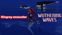 Wuthering Waves Stingray encounter
