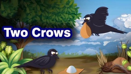 Two crows