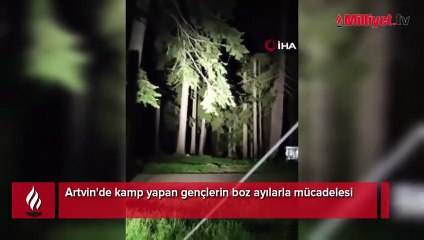 Artvin'de kamp yapan gençlerin boz ayılarla mücadelesi