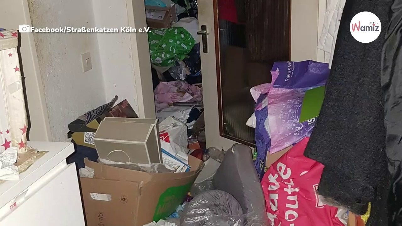 NRW: Messie-Wohnung geräumt: Entrümpler machen wahnsinnigen Fund!
