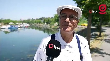 İstanbul'da müsilaj uyanıyor! Avcılar'da görüldü: "Görür görmez kaçın, denize girmeyin"