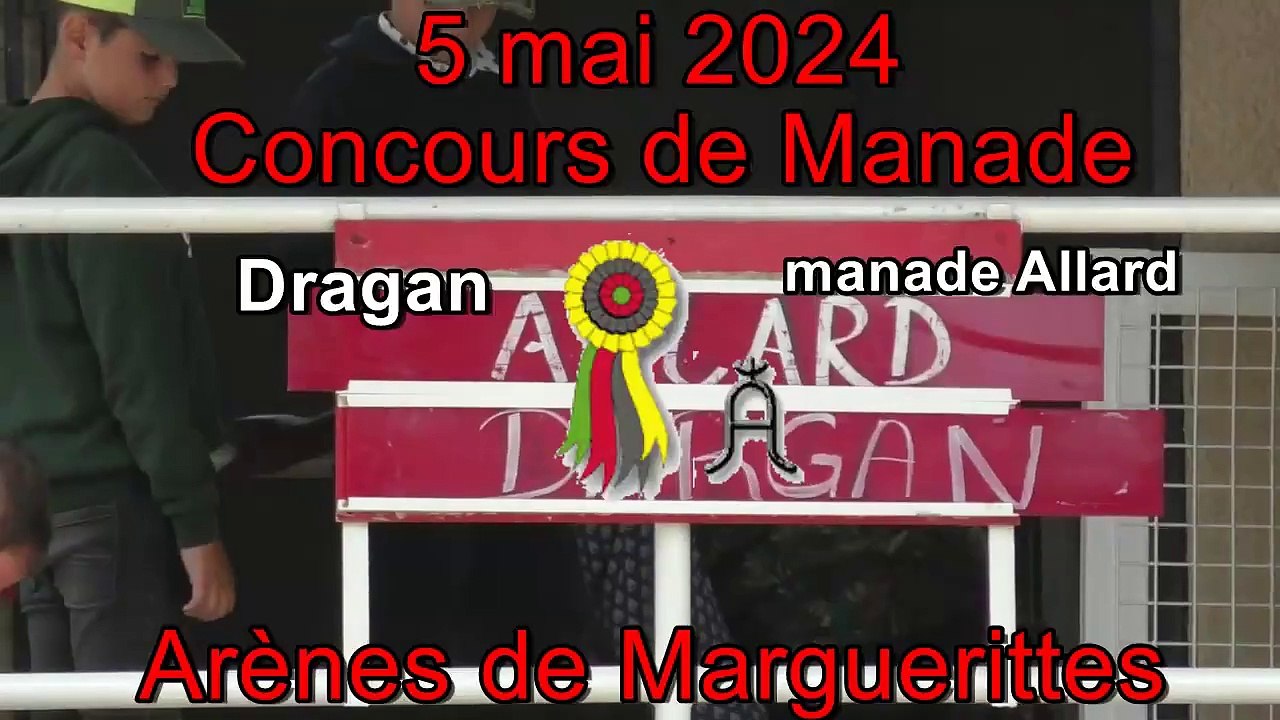 2024 05 05 Dragan
