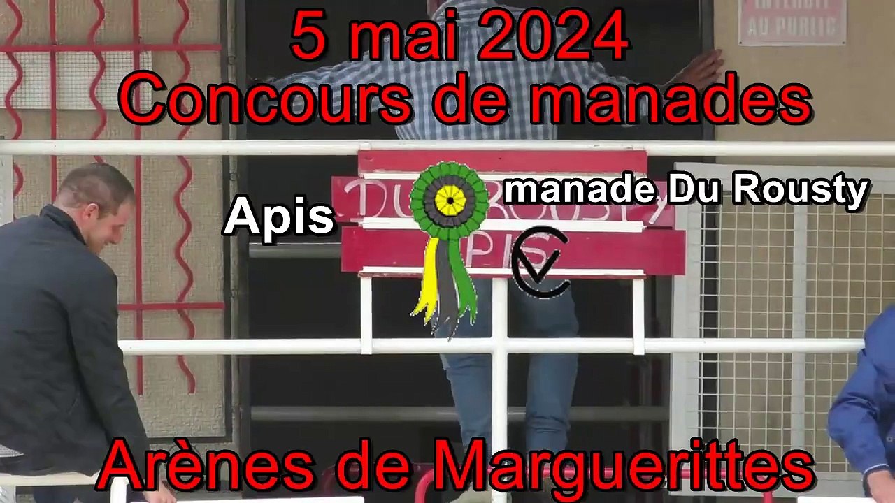 2024 05 05 Apis