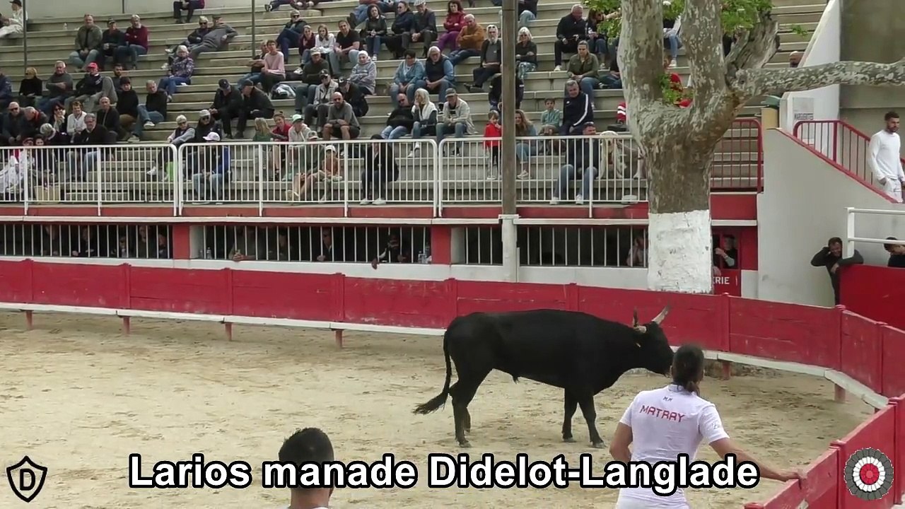 2024 05 05 Larios