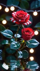 Superb*#*so beautifull video*#*