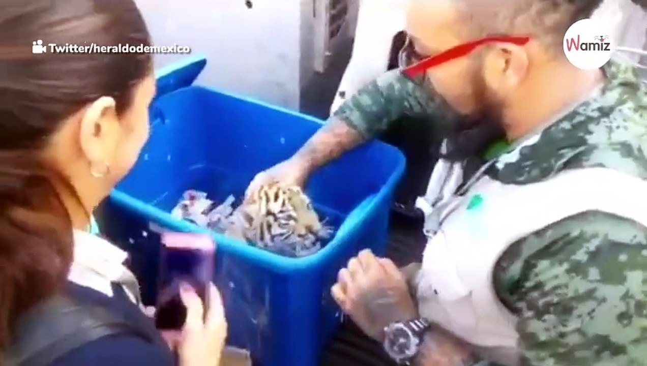 Polizeihund schnüffelt an einer Box: Was er darin findet, könnte bewegender nicht sein!