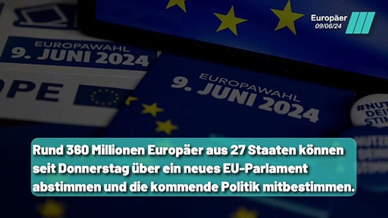 Die EU: Eine Black Box oder entscheidender Einflussfaktor ?