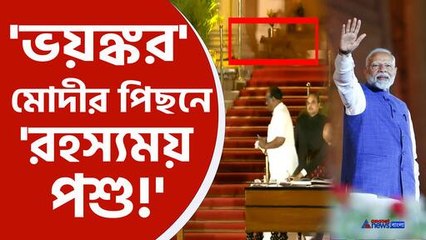 Unexpected Visitor: Leopard Spotted Inside Rashtrapati Bhawan 🐆