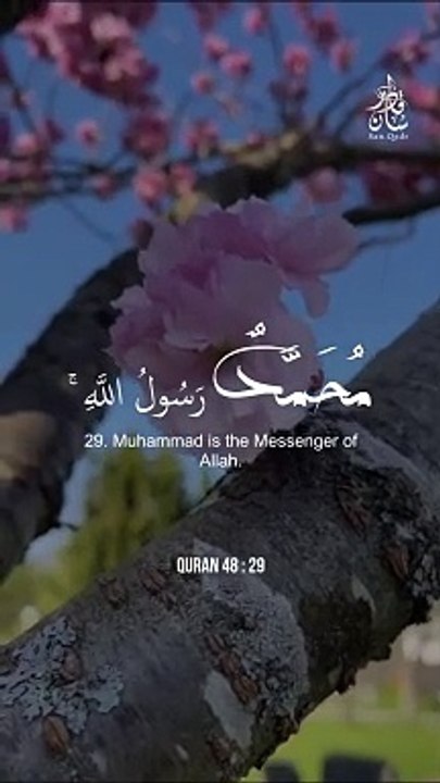محمد رسول اللہ
