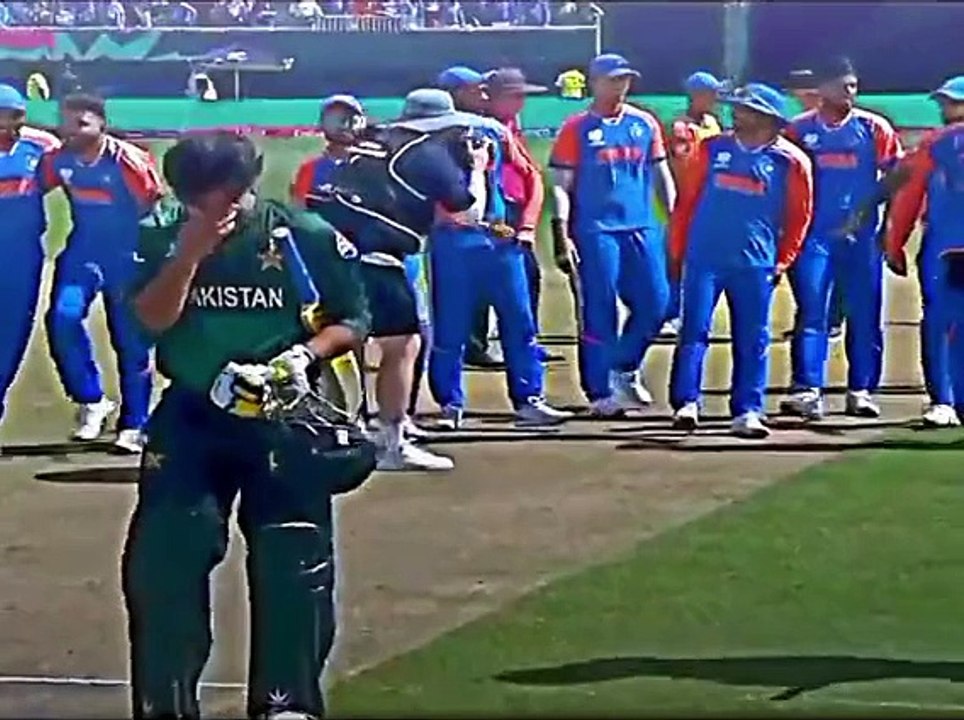 Cricket lover