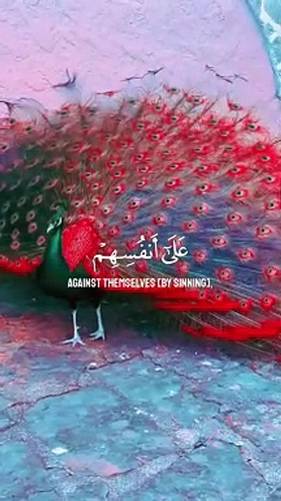 اے میرے بندوں