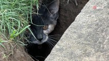 Il visite un cimetière et a la peur de sa vie en voyant une ombre se faufiler parmi les tombes