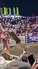 Touro salta a vedação da arena, causa caos e faz três feridos