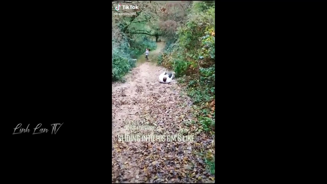 Funny Moments Of The Year Compilation