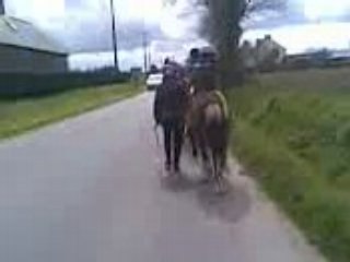 demenagement de pâture pour 3 des poneys