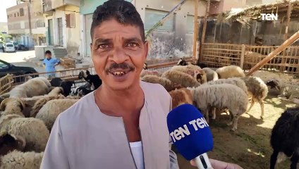 وكيل مطرانية الكاثوليك بالبحر الأحمر يشتري خروف العيد لتوزيعه على المواطنين