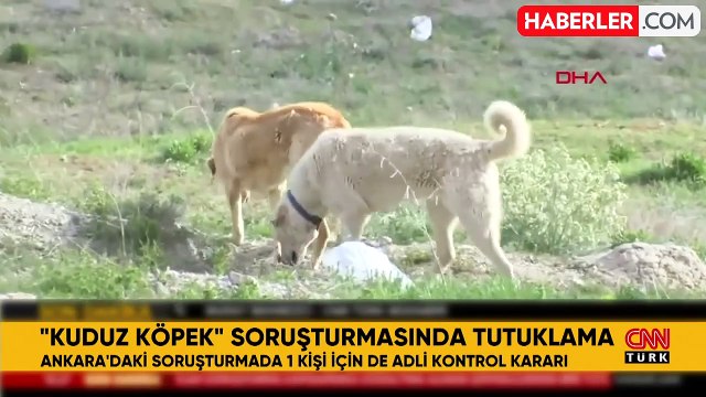 Şanlıurfa'da kuduz karantinası ilan edilmiş bölgedeki 35 hasta köpeği Ankara'ya getiren Buket Özgünlü Boyacı tutuklandı