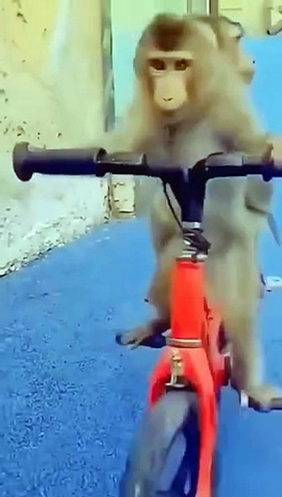 riding a motorcycle