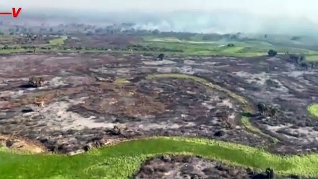Brazil’s Wetlands Are Burning in Worst Wildfires Since 2020