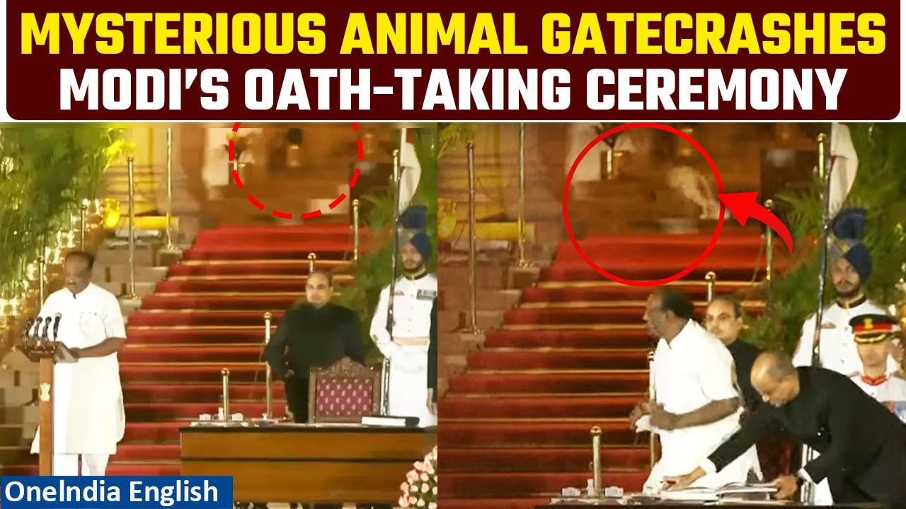 Leopard In Rashtrapati Bhavan?: Mysterious Animal Spotted During Modi Cabinet Oath-Taking | Watch