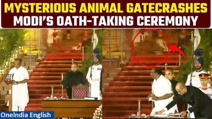 Leopard In Rashtrapati Bhavan?: Mysterious Animal Spotted During Modi Cabinet Oath-Taking | Watch